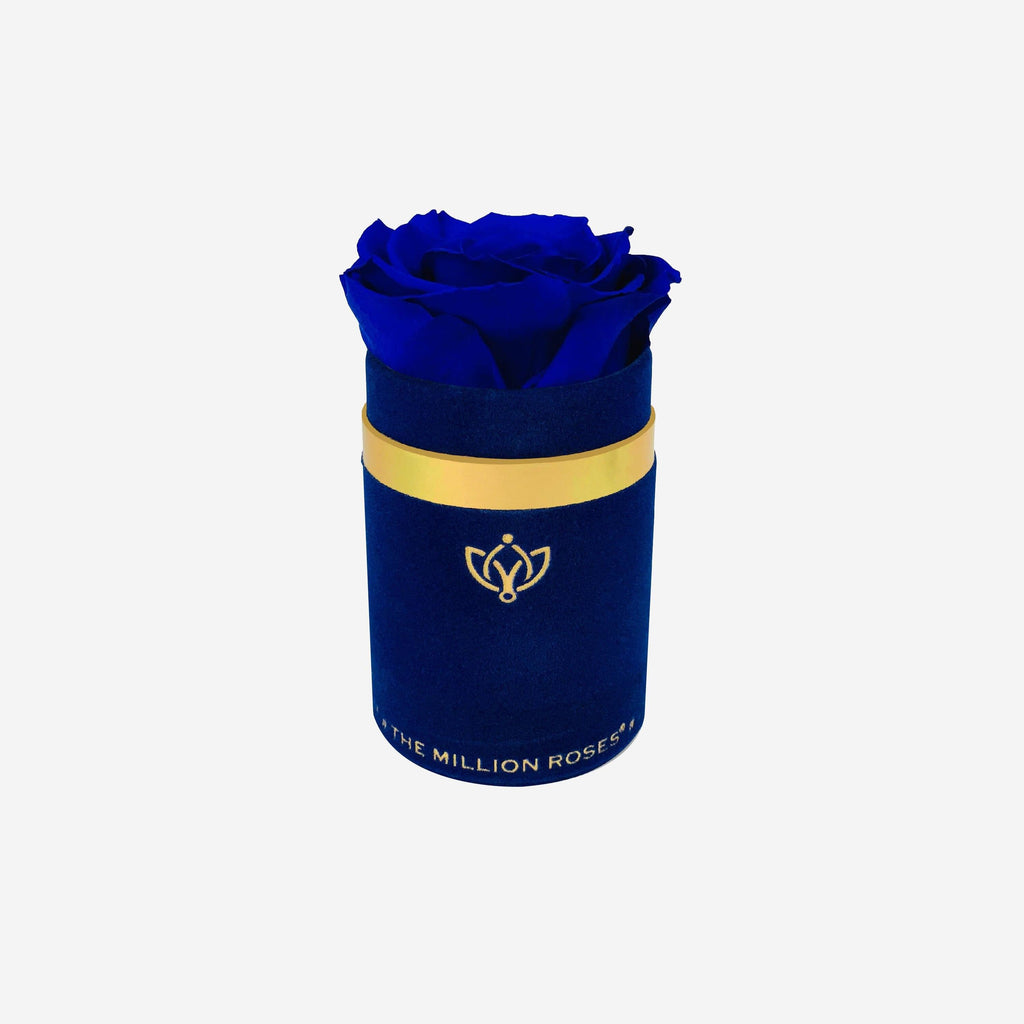 The Unlisted Edition | Royal Blue Suede | Royal Blue Signature Rose