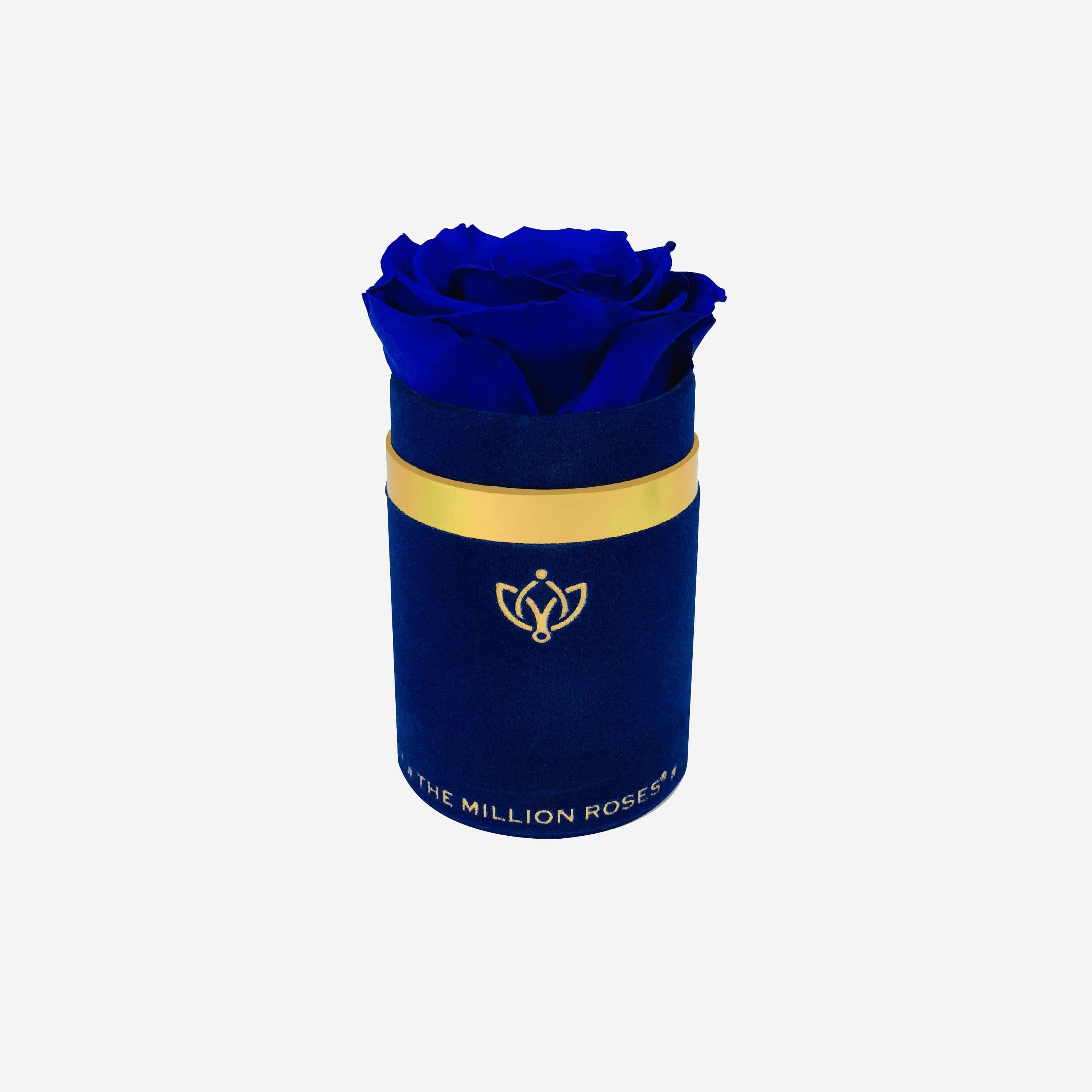 The Unlisted Edition | Royal Blue Suede | Royal Blue Signature Rose