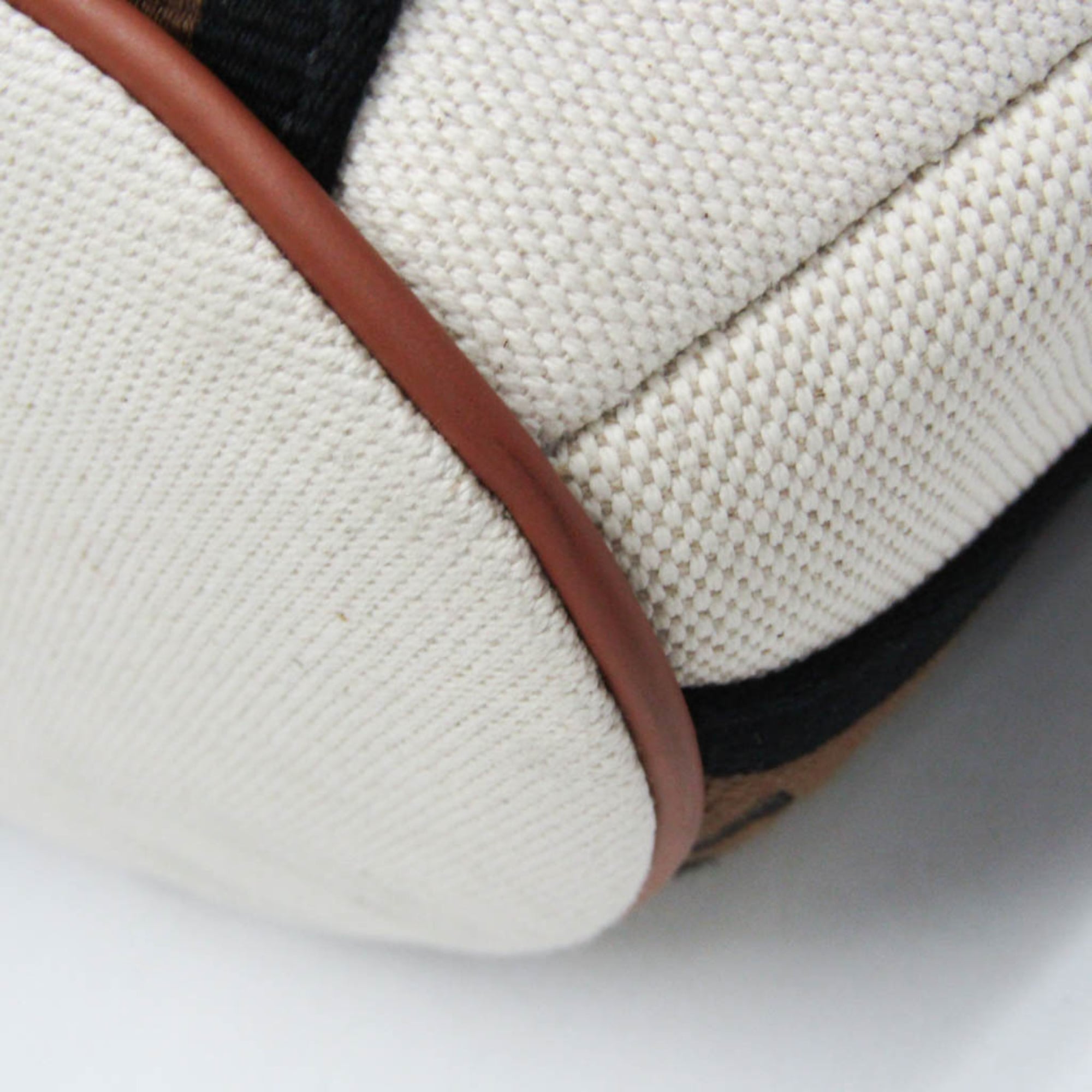 Moynat · Canvas & Leather Tote