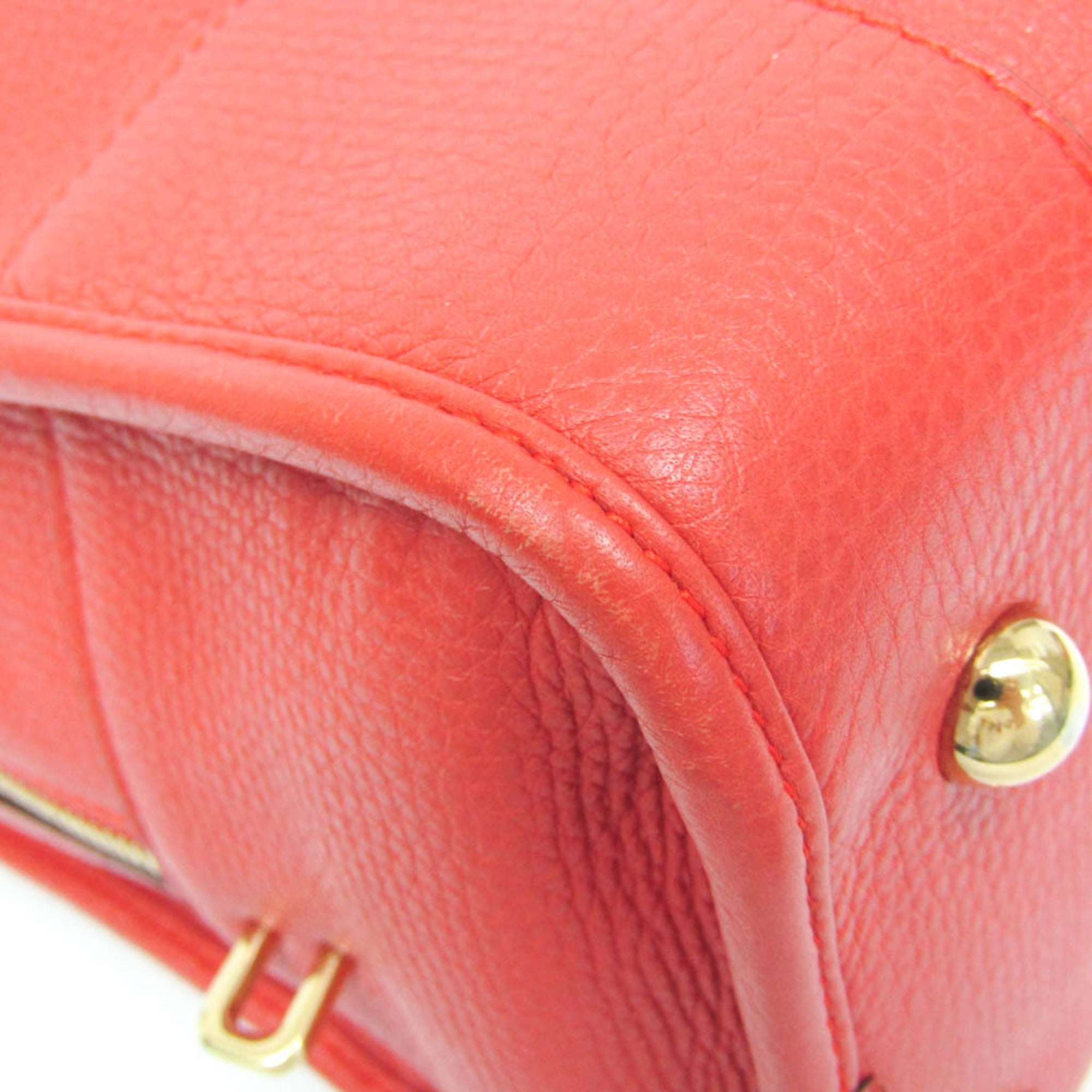 Loewe Amazona 36 · Leather