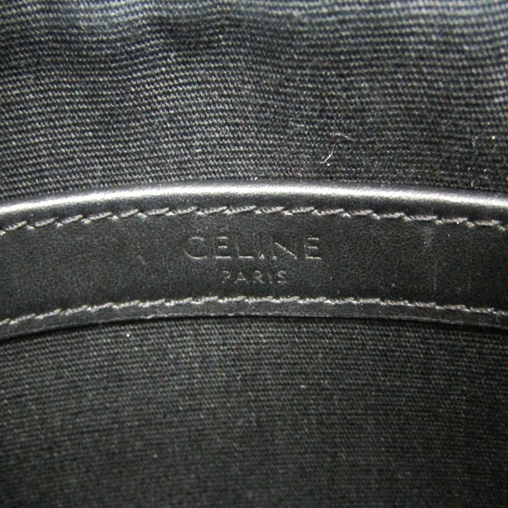 Celine Triomphe Horizontal · Coated Canvas