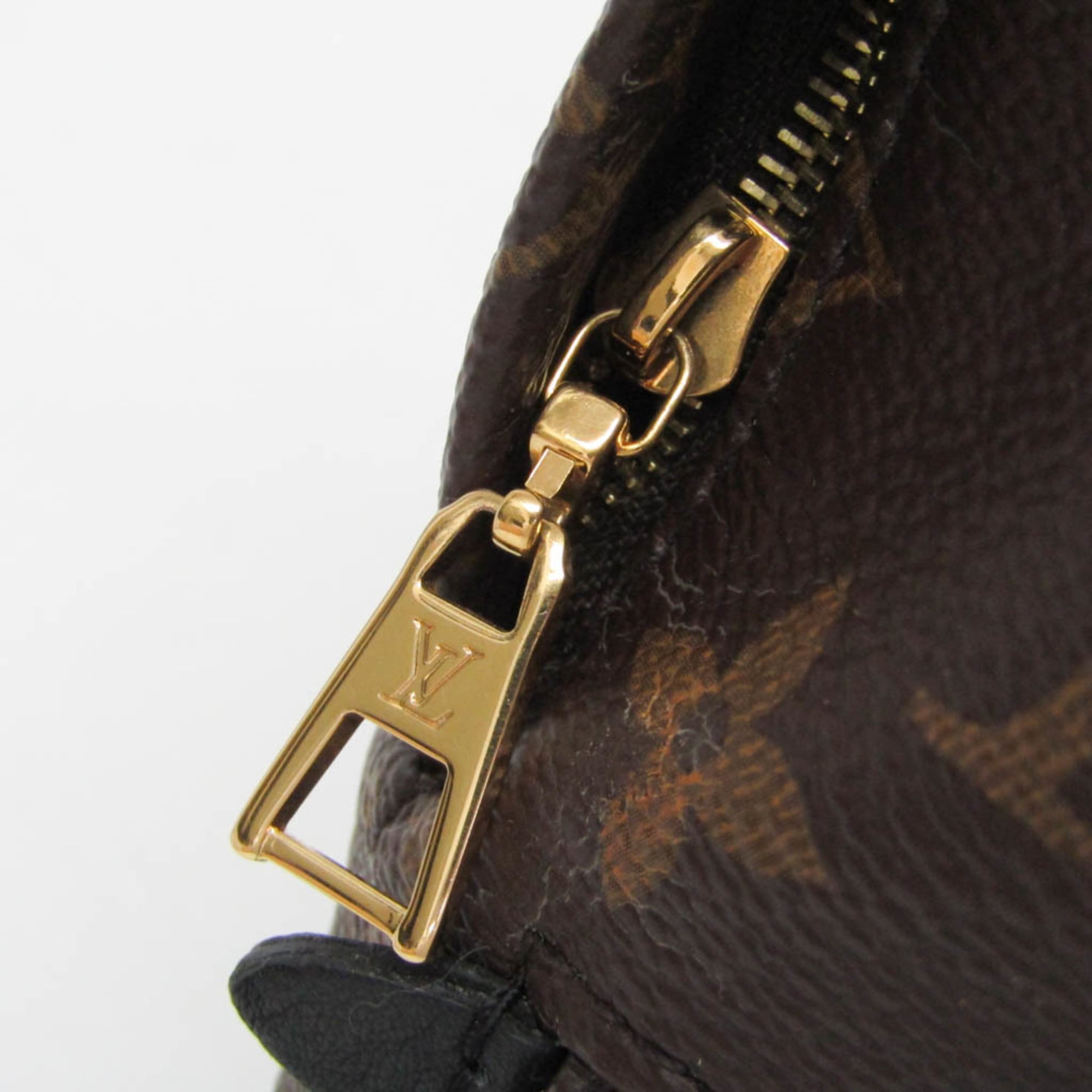 Louis Vuitton Monogram Palm Springs Mini