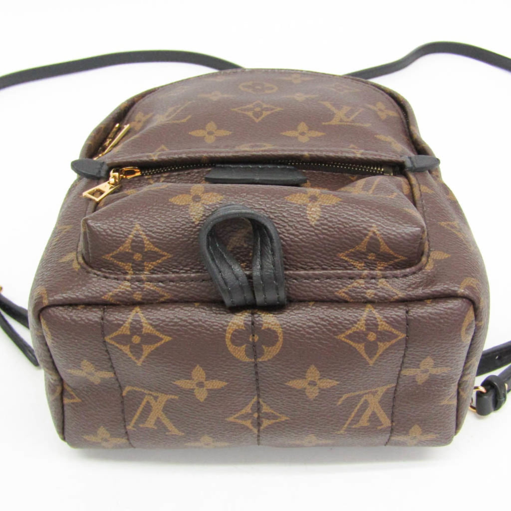 Louis Vuitton Monogram Palm Springs Mini