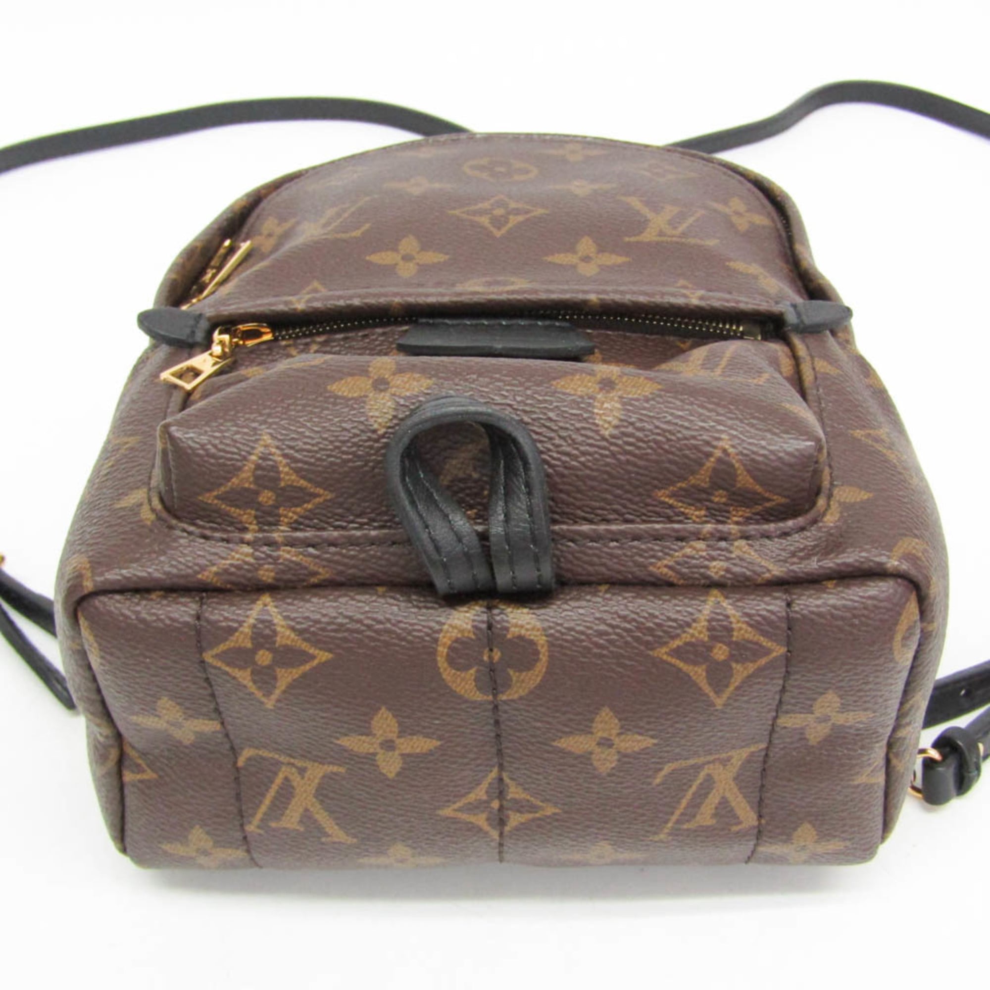Louis Vuitton Monogram Palm Springs Mini