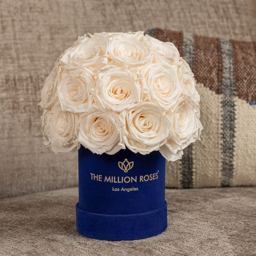 Essence Royal Blue Suede Superdome Box | White Roses