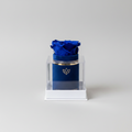 The Unlisted Edition | Royal Blue Suede | Royal Blue Signature Rose