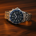 Omega Seamaster Professional 300M · Steel