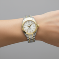 Omega Seamaster Aqua Terra · 18K Gold & Steel