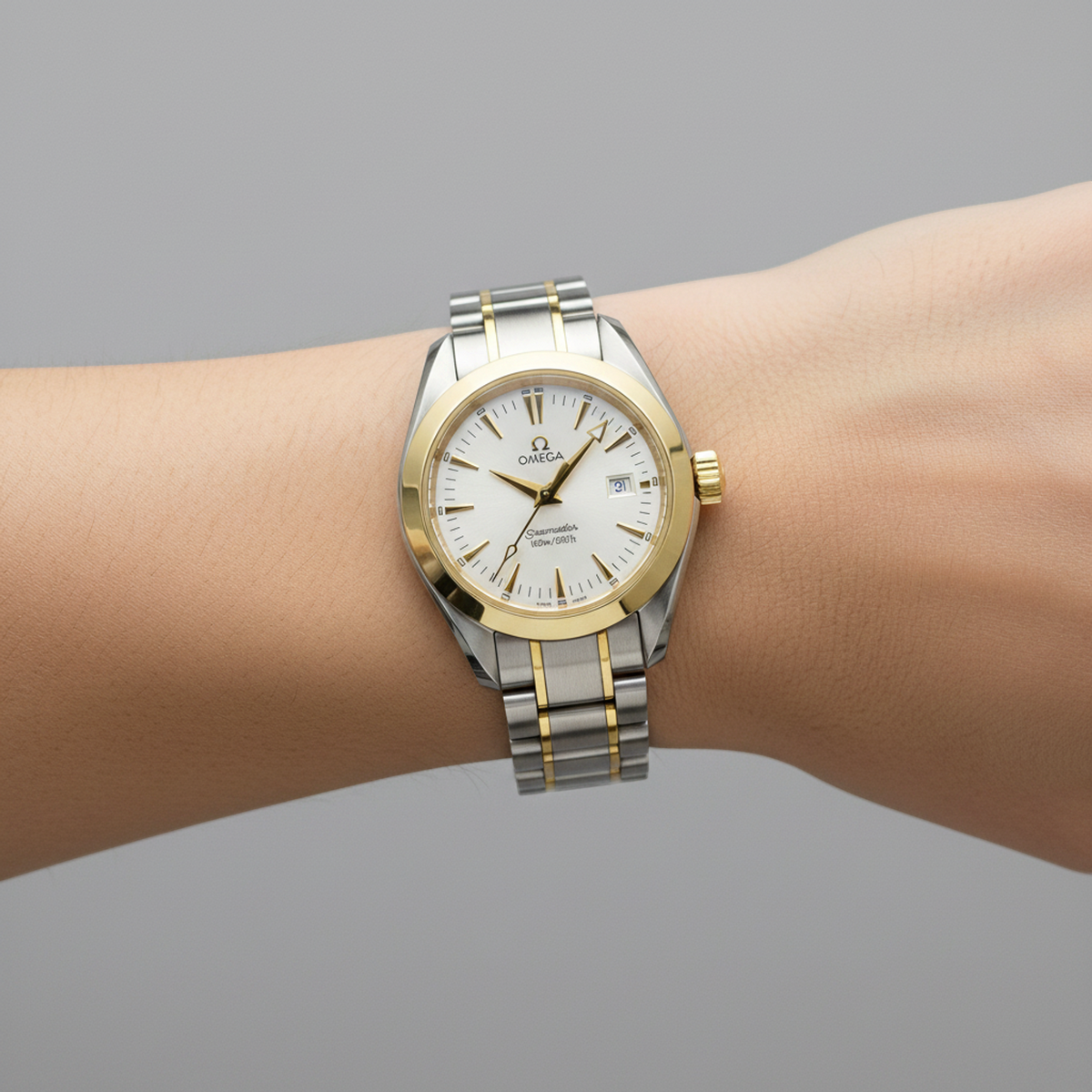 Omega Seamaster Aqua Terra · 18K Gold & Steel