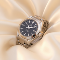 Omega Seamaster Aqua Terra · Steel · Quartz
