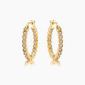 Gold Plated Dotted Clear CZ Round Bezel Hoop Earrings