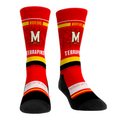 Maryland Terrapins - Franchise