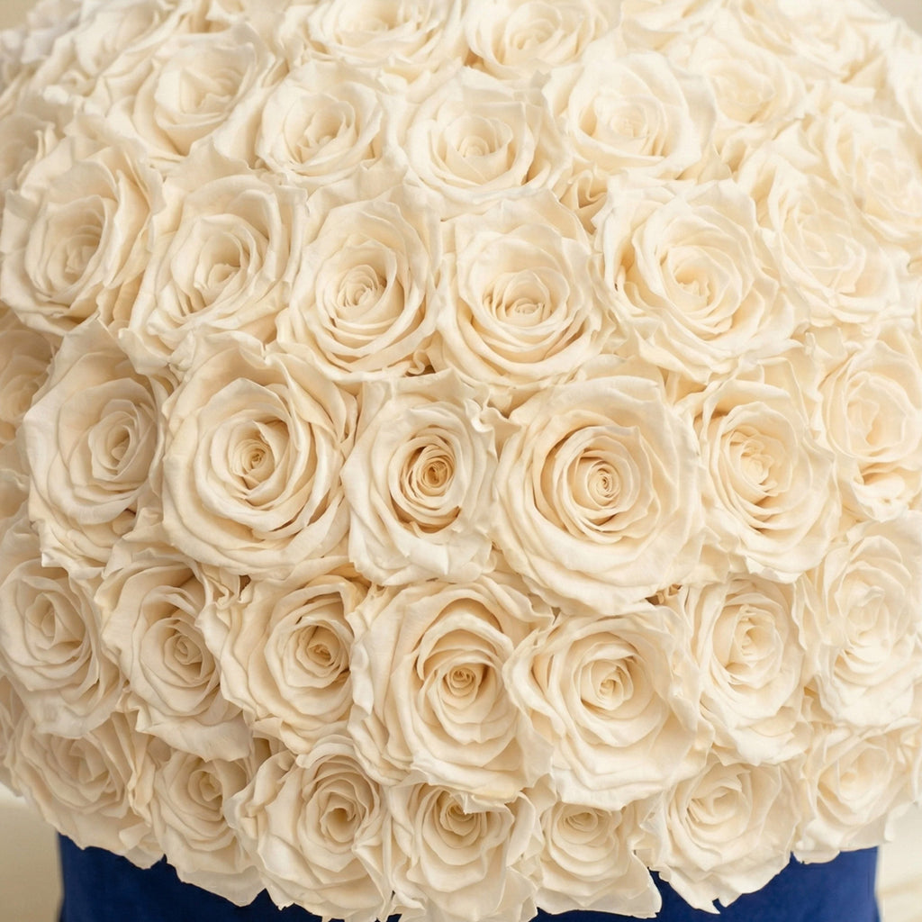 Supreme Royal Blue Suede Superdome Box | White Roses