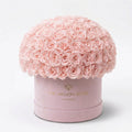 Supreme Light Pink Suede Superdome Box | Light Pink Roses