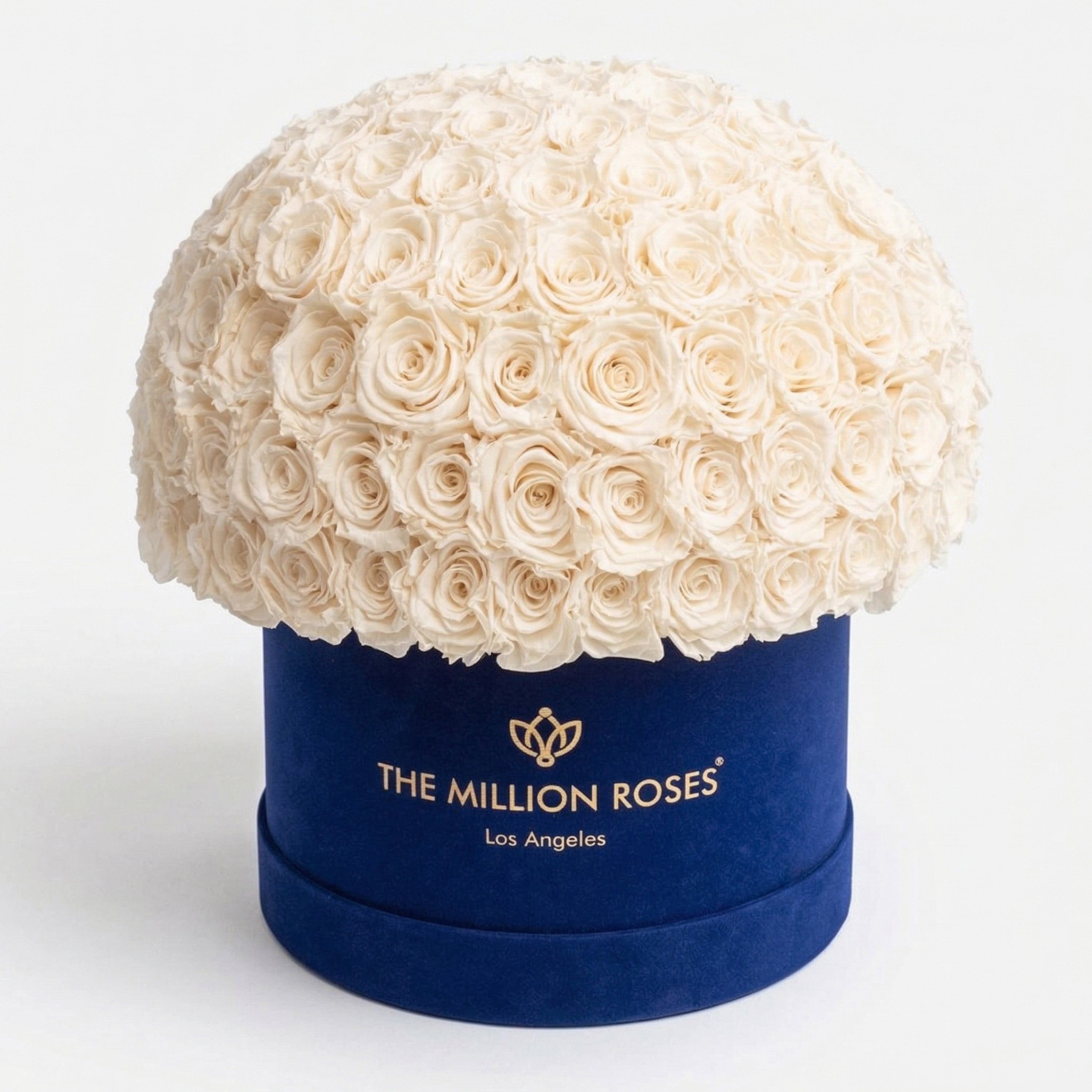 Supreme Royal Blue Suede Superdome Box | White Roses