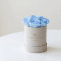 Essence Beige Suede Box | Light Blue Roses