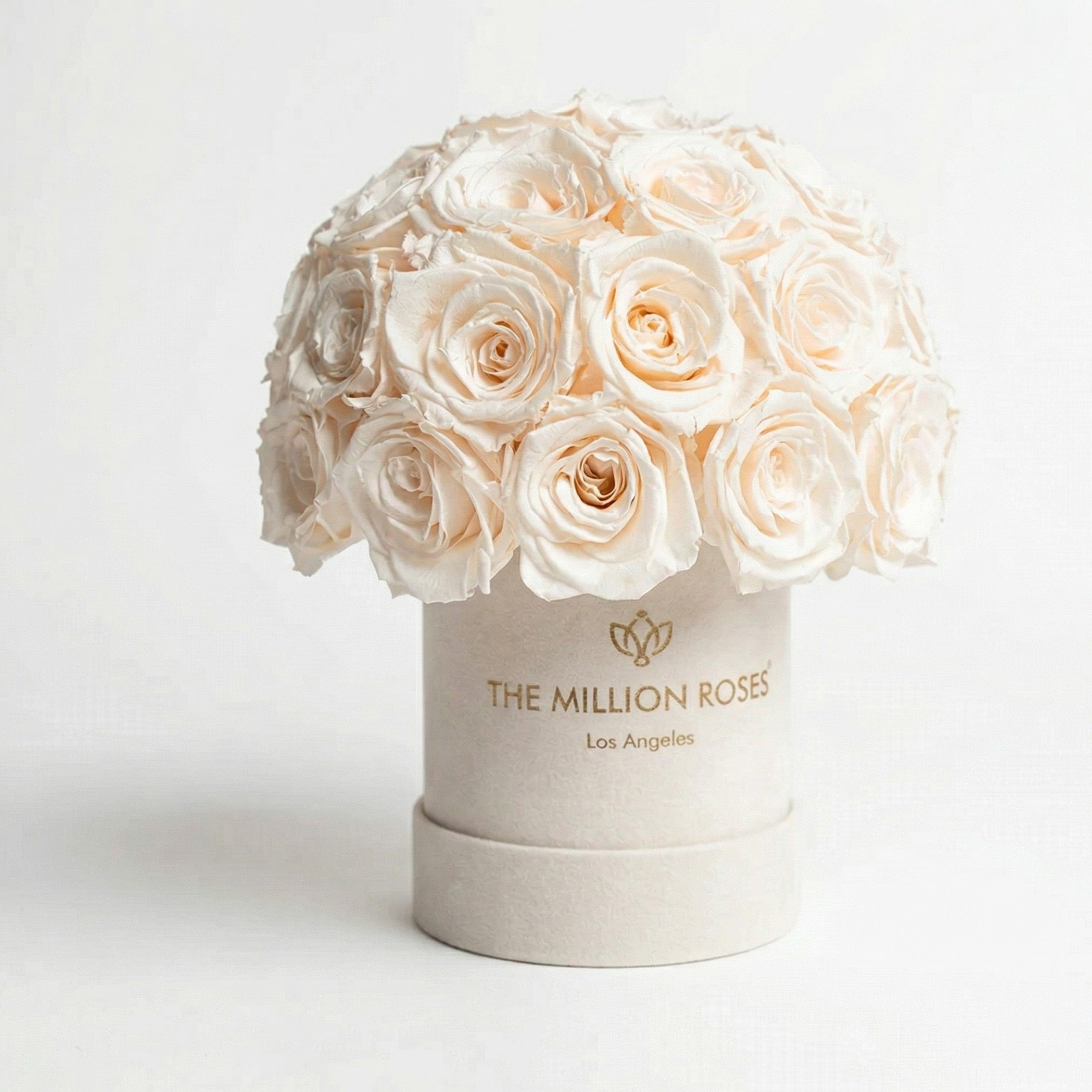 Essence Beige Suede Superdome Box | White Roses