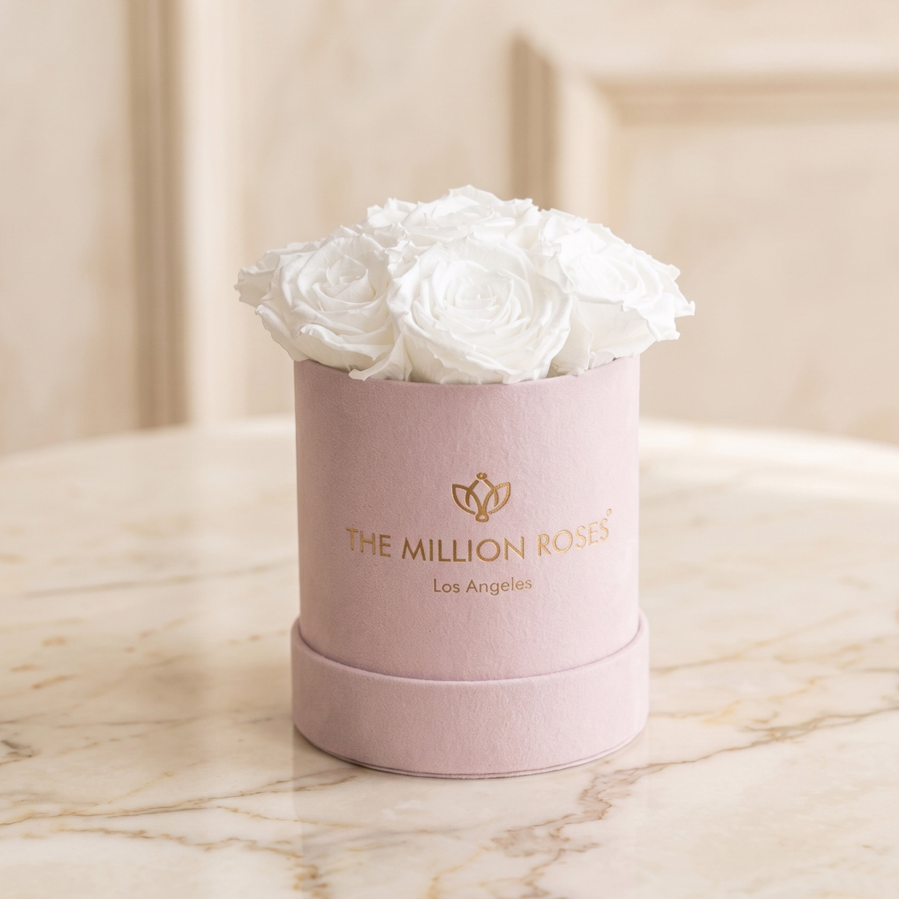 Essence Light Pink Suede Box | White Roses