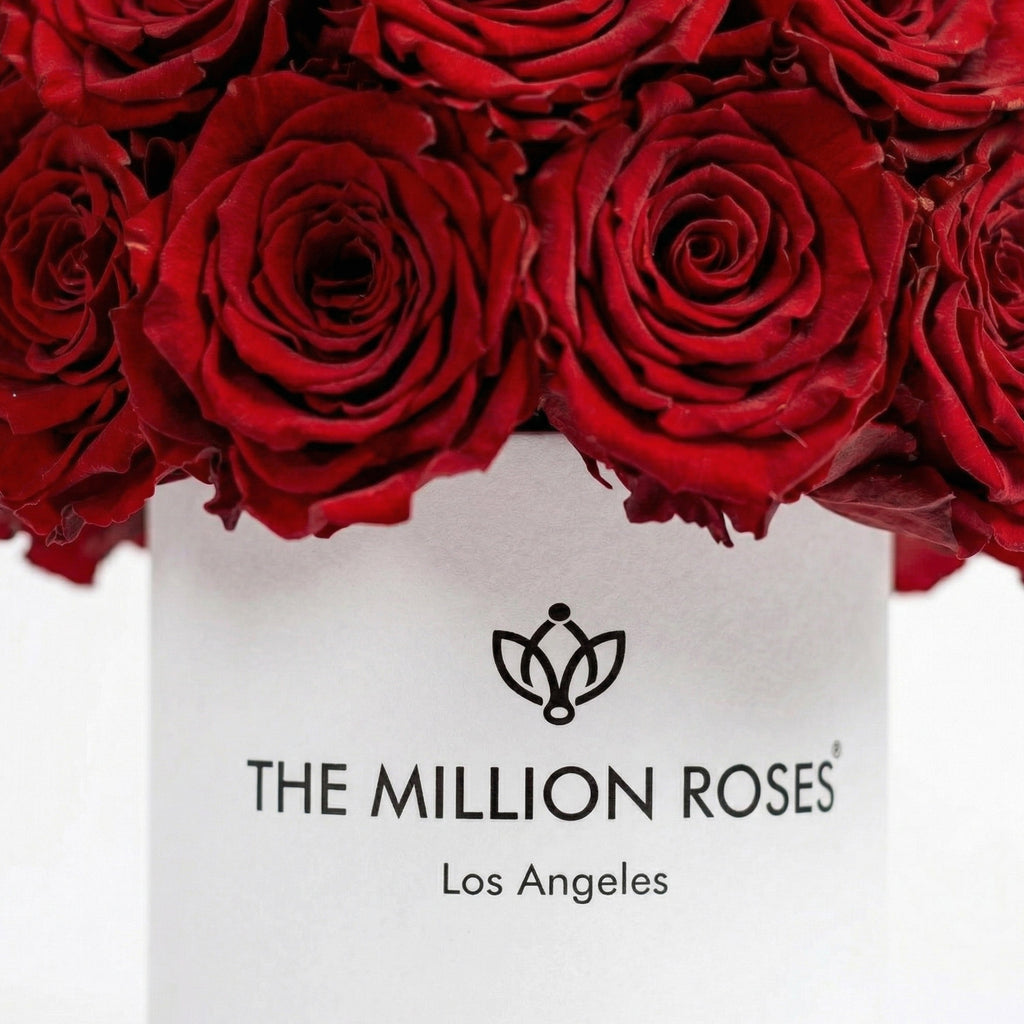 Essence White Superdome Box | Red Roses