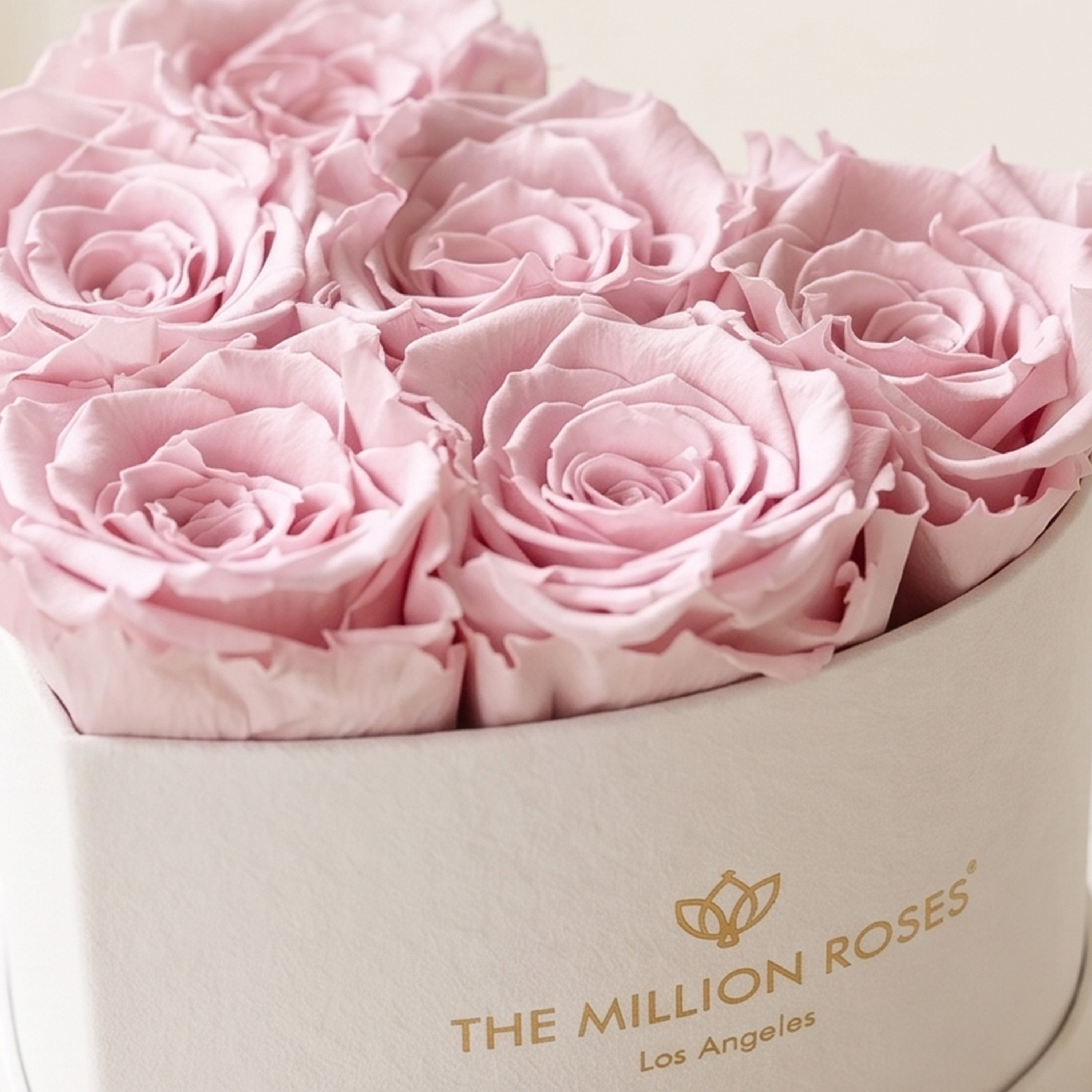 Baby Heart Beige Suede Box | Light Pink Roses