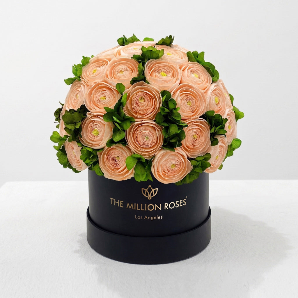 Classic Black Box | Peach Persian Buttercups & Green Hydrangeas