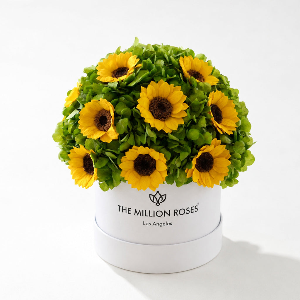Classic White Box | Green Hydrangeas & Sunflowers