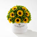 Classic White Box | Green Hydrangeas & Sunflowers