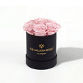 Essence Black Box | Light Pink Roses