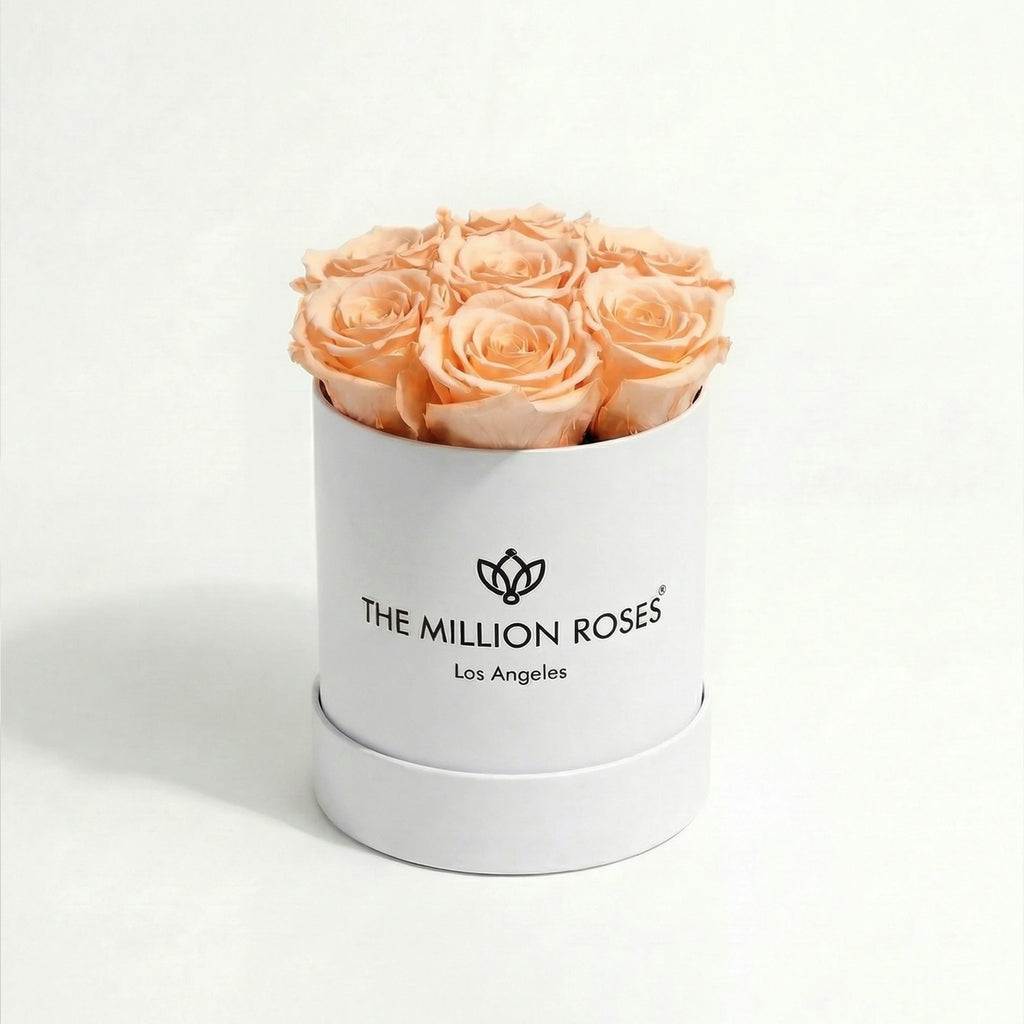 Essence White Box | Peach Roses