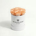 Essence White Box | Peach Roses