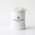 Essence White Box | White Roses