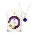 Sugar Plum 10oz Mystery Jewelry Candle