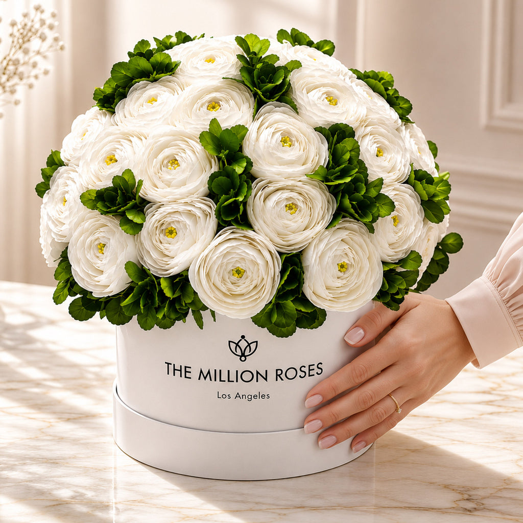 Classic White Box | White Persian Buttercups & Green Hydrangeas
