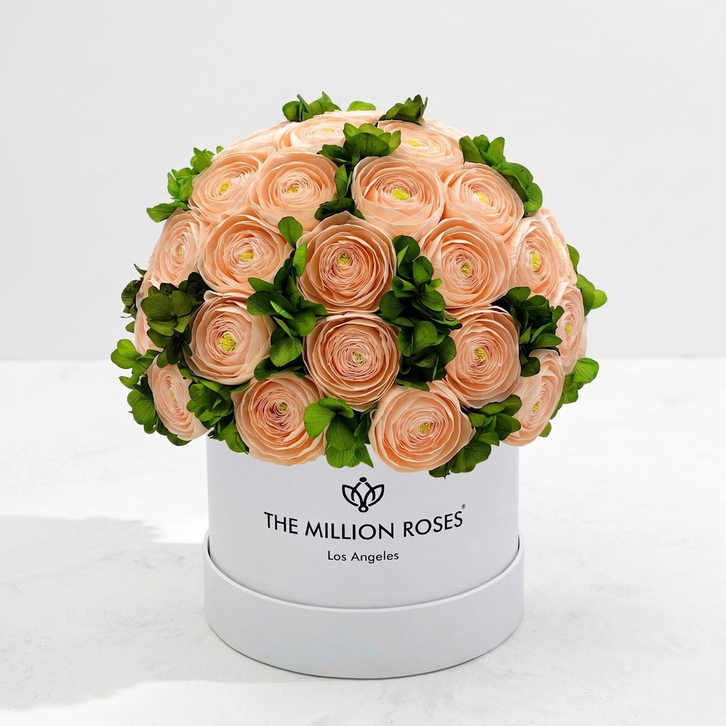 Classic White Box | Peach Persian Buttercups & Green Hydrangeas
